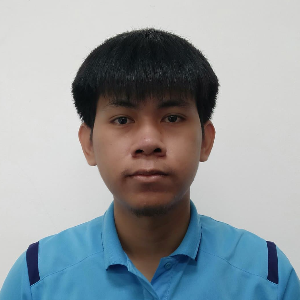 นายพีรณัฐ มีสกุล